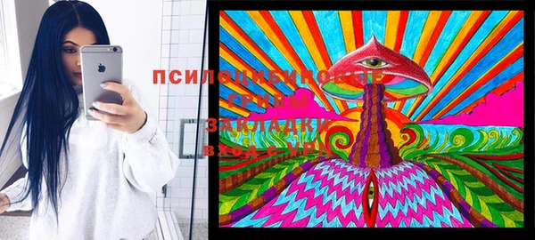 мдпв Кукмор