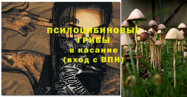 мдпв Кукмор